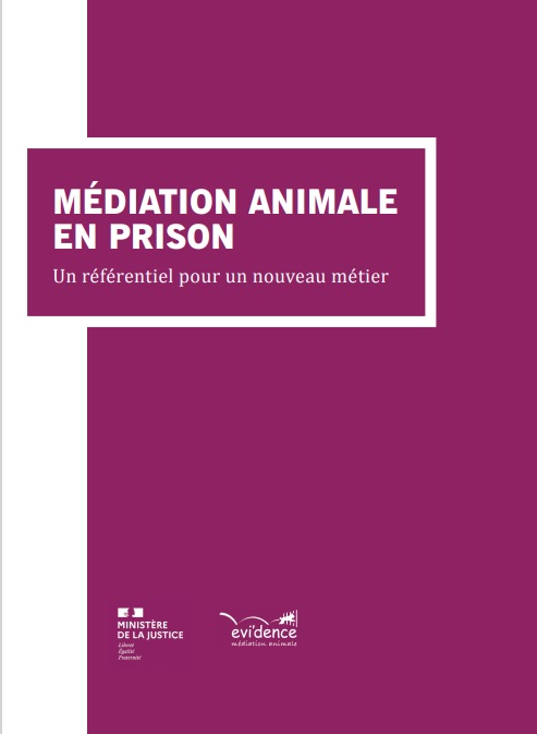 Médiation animale : en prison, les chevaux sont les alliés de la  réinsertion - Le Parisien