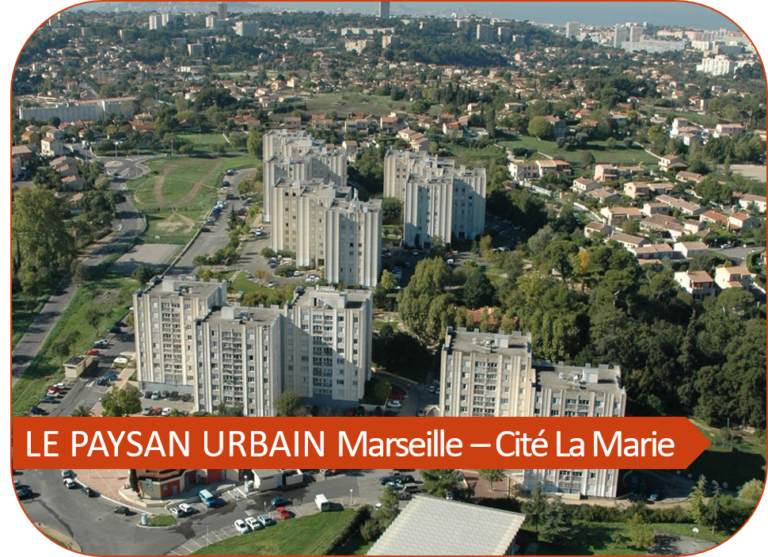 Le Paysan Urbain Marseille : le jardin de la cité La Marie – Green Link